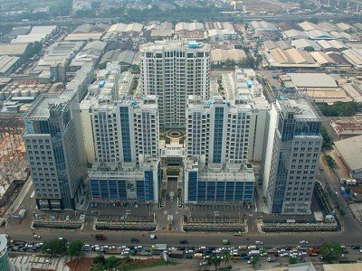 Read more about the article CBD PLUIT